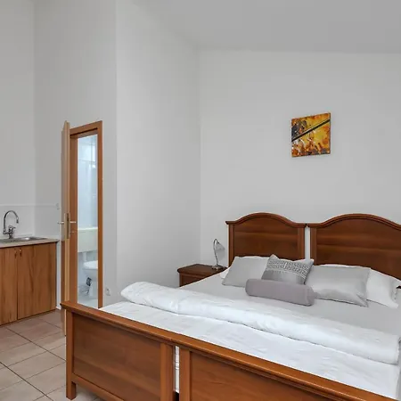 招待所 Slovan 图彻皮